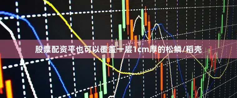 股票配资平也可以覆盖一层1cm厚的松鳞/稻壳