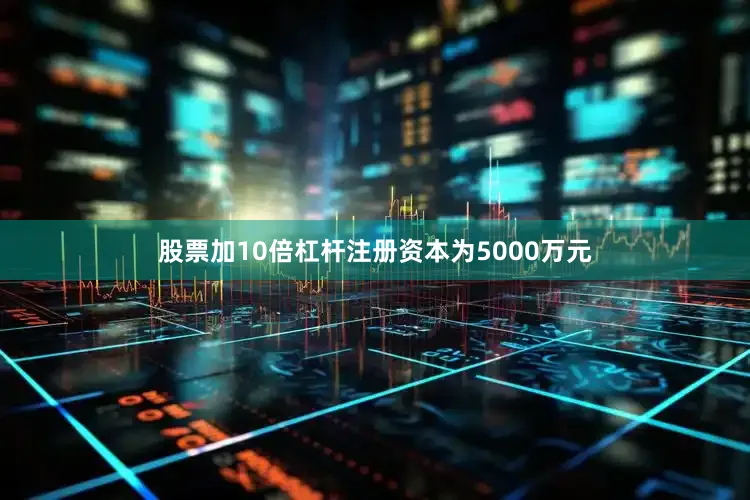 股票加10倍杠杆注册资本为5000万元