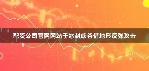 配资公司官网网站于冰封峡谷借地形反弹攻击